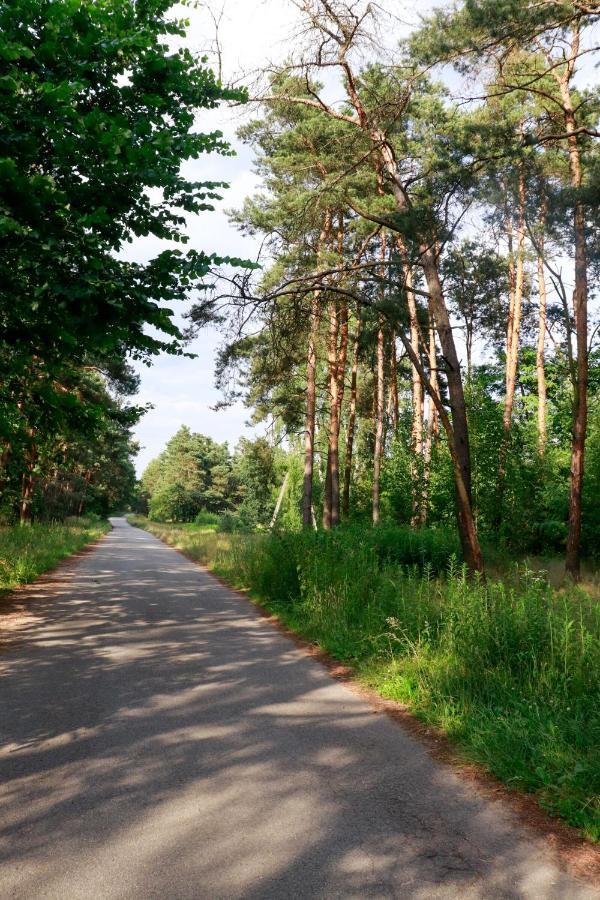 Agroturystyka U Koziolka Dlugowola Extérieur photo